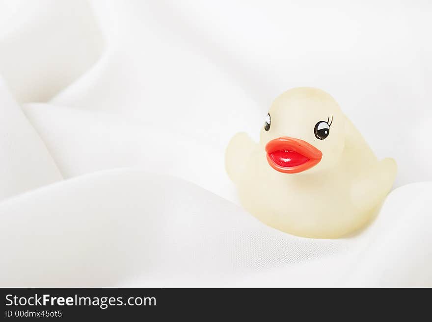 Image of rubber duck in soft white cloth. Image of rubber duck in soft white cloth