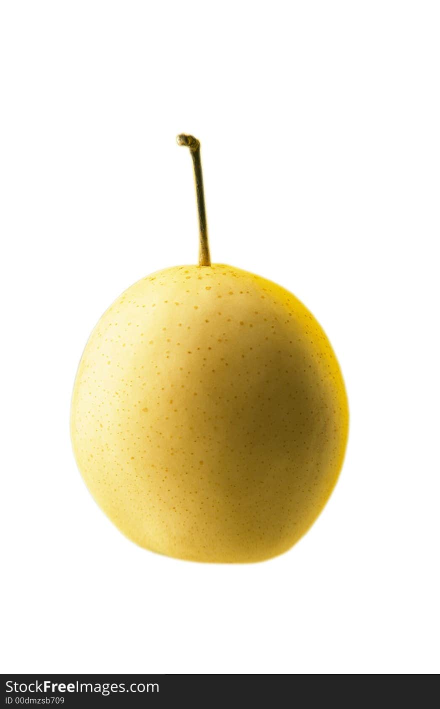 Yellow big Chinese pear on  white background