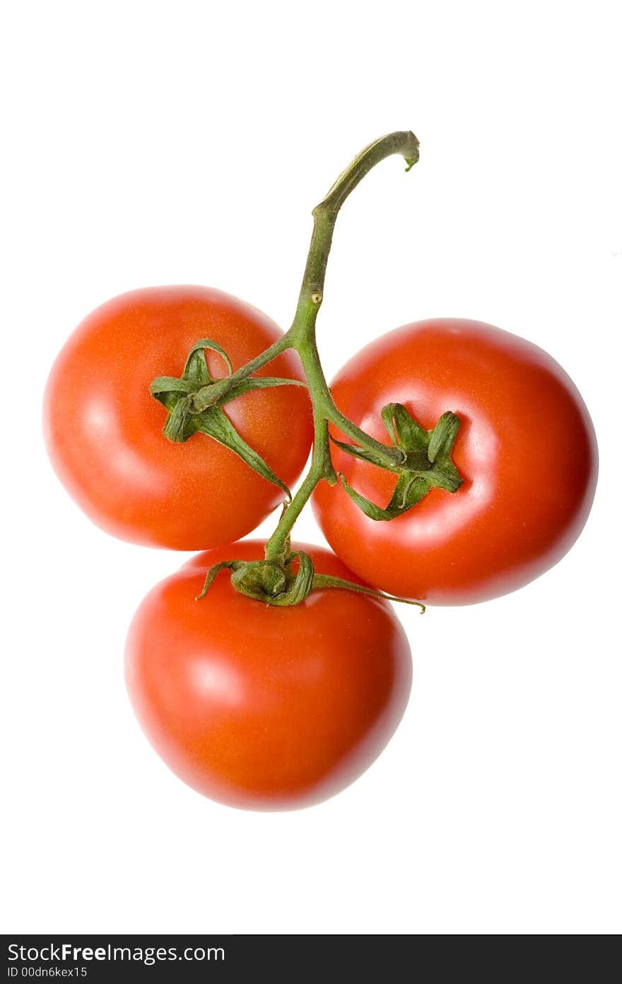 Tomatoes