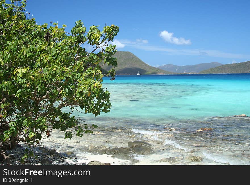 Caribbean Beach