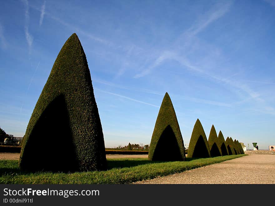 Line of conic trees in versailles, paris, france