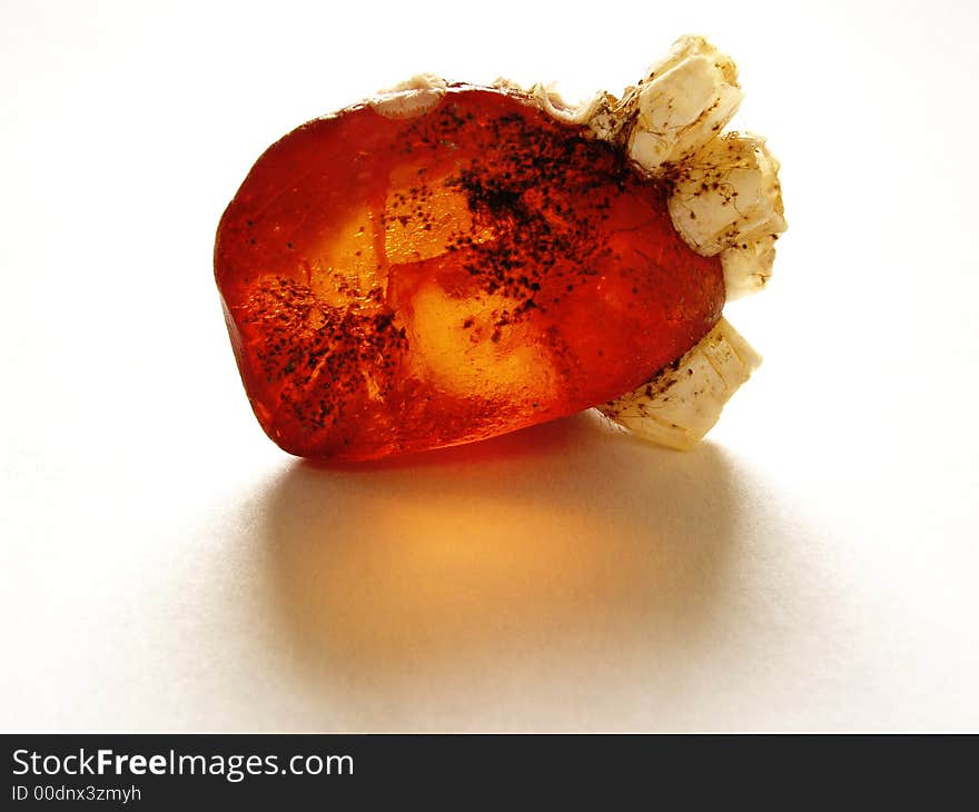 A piece of amber from Baltic Sea. A piece of amber from Baltic Sea