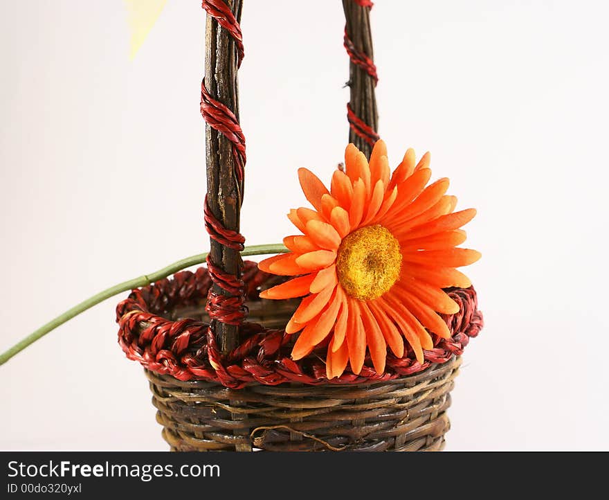 Orange daisy in the basket