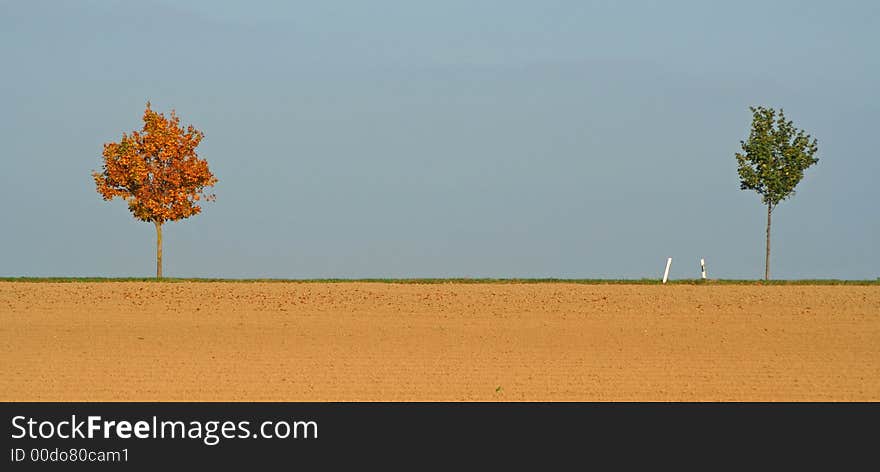 Two trees on the horizon above a cultivated field. Two trees on the horizon above a cultivated field