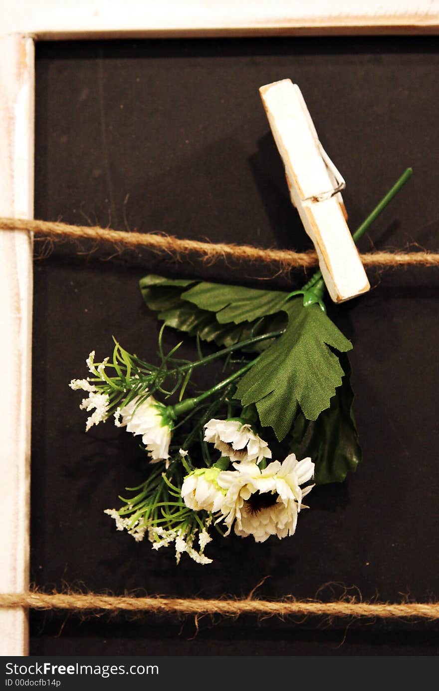 Pretty white flowers pegged to a board