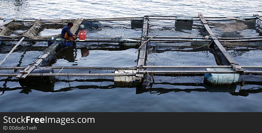 Seafood industry