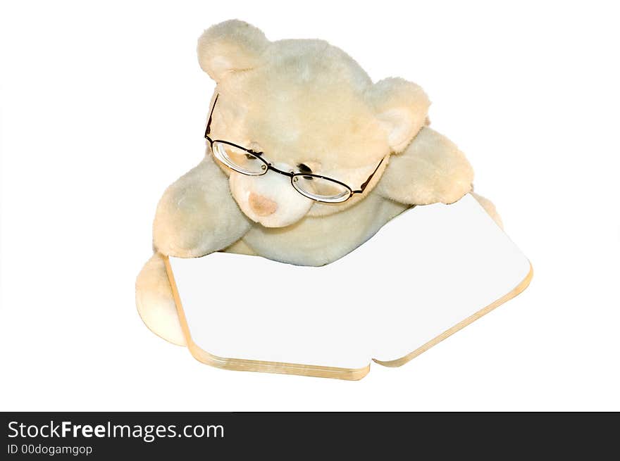 Teddybear Reading Book