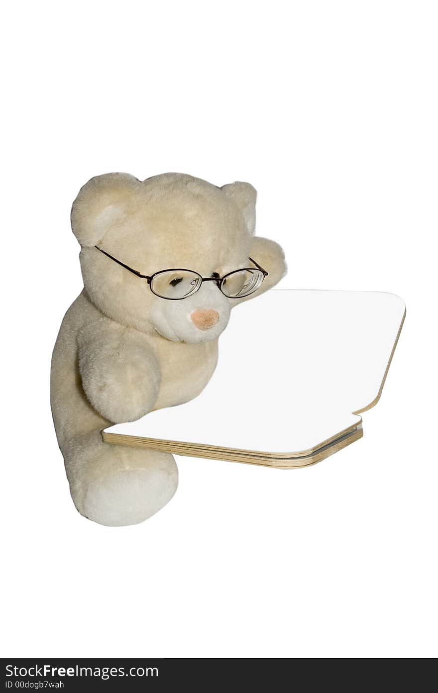 Teddybear reading book with white background