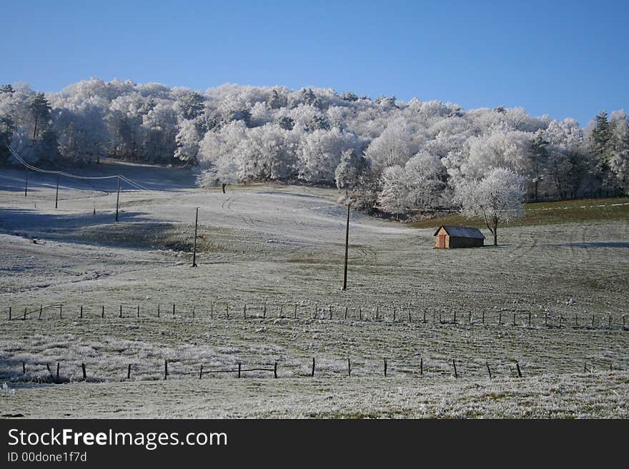 Wintery field with white trees and house. Wintery field with white trees and house