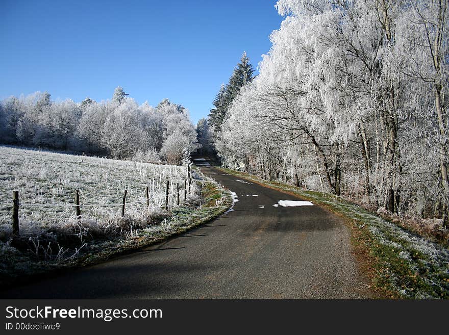 Frozen country lane in winter. Frozen country lane in winter