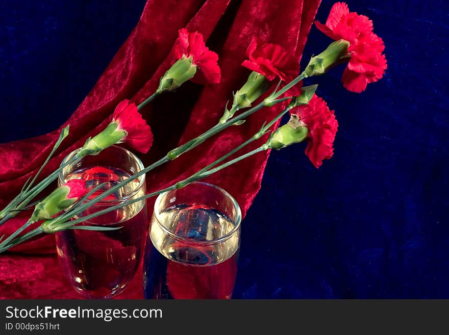 Two glasses of champagne and carnations on the blue velvet