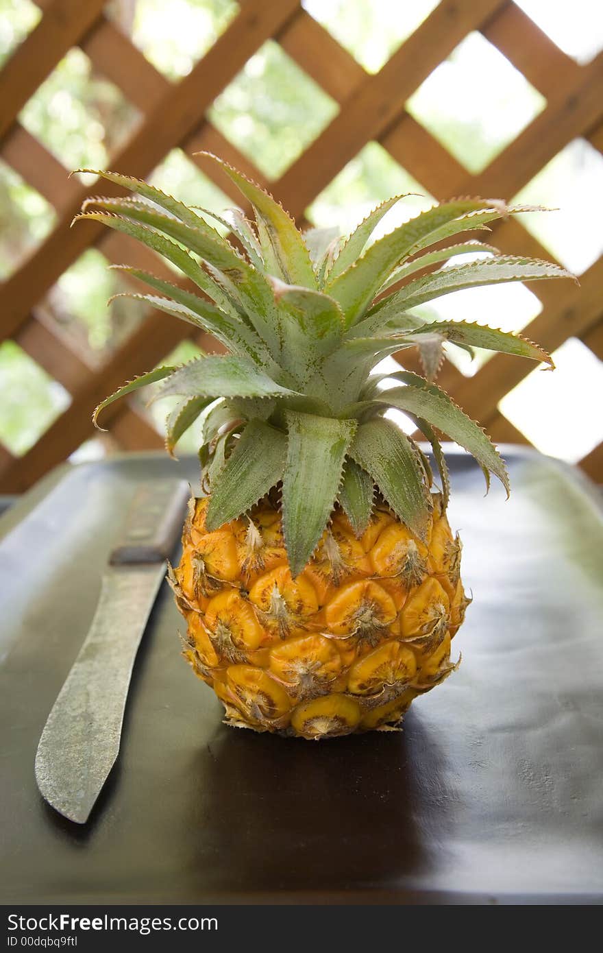 Mini Pineapple