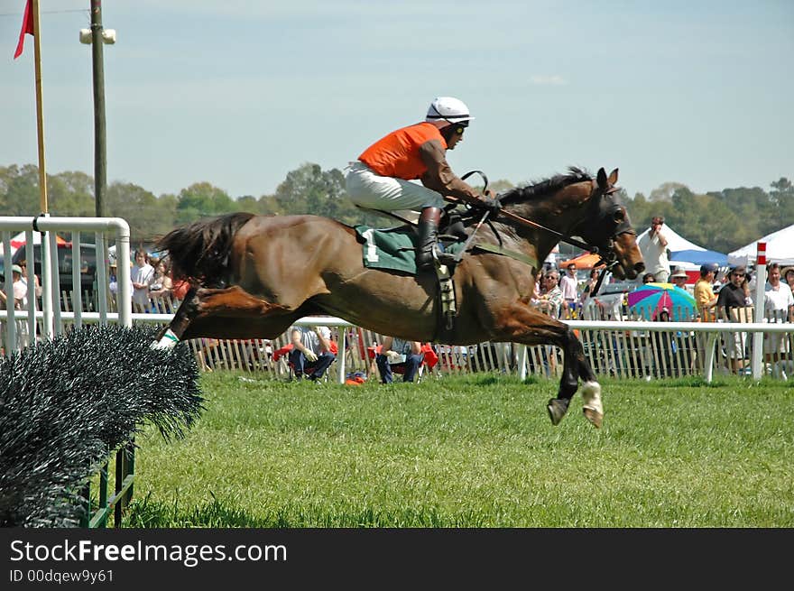 Horse and rider clear the jump during steeplechase. Horse and rider clear the jump during steeplechase