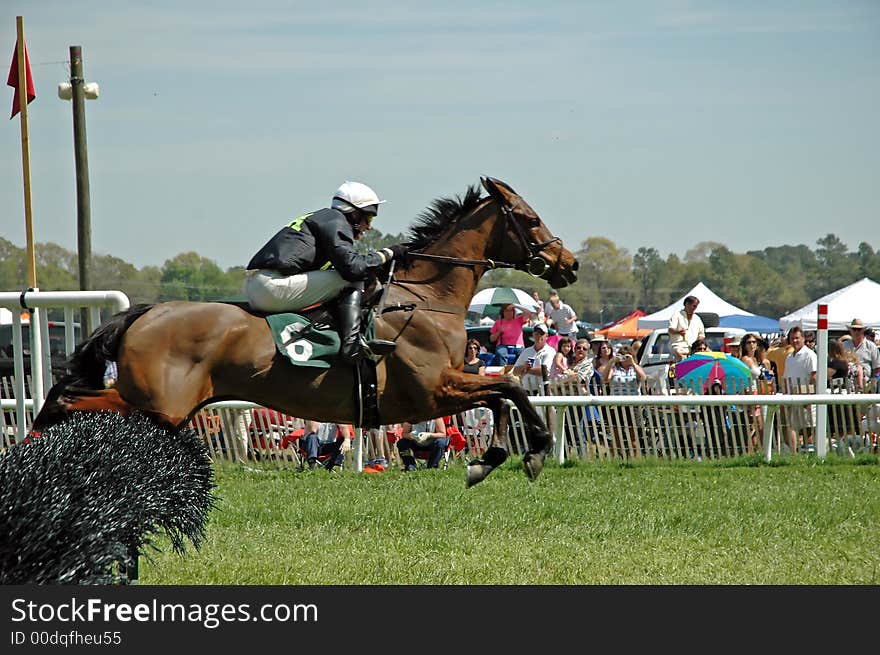 Horse and rider clear the jump during steeplechase. Horse and rider clear the jump during steeplechase