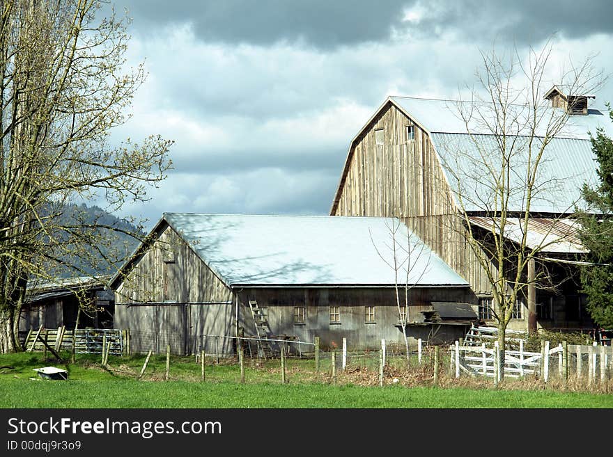 View of an old gray barn on the first day of spring. View of an old gray barn on the first day of spring