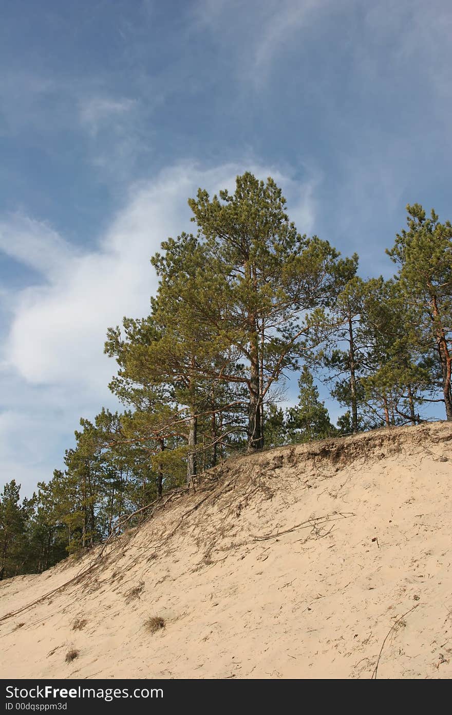 Sand dunes and cloudy sky (Riga, Latvia). Sand dunes and cloudy sky (Riga, Latvia)