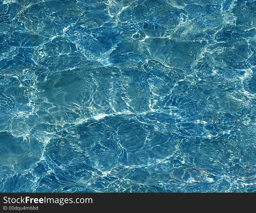 Surface of a pool in a park. Surface of a pool in a park