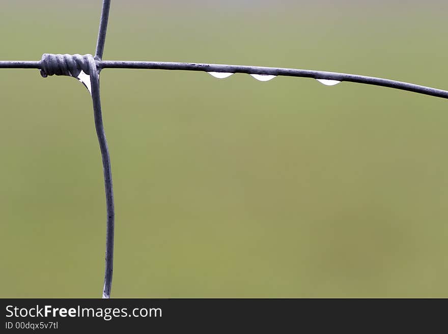 Three rain drops on a fence