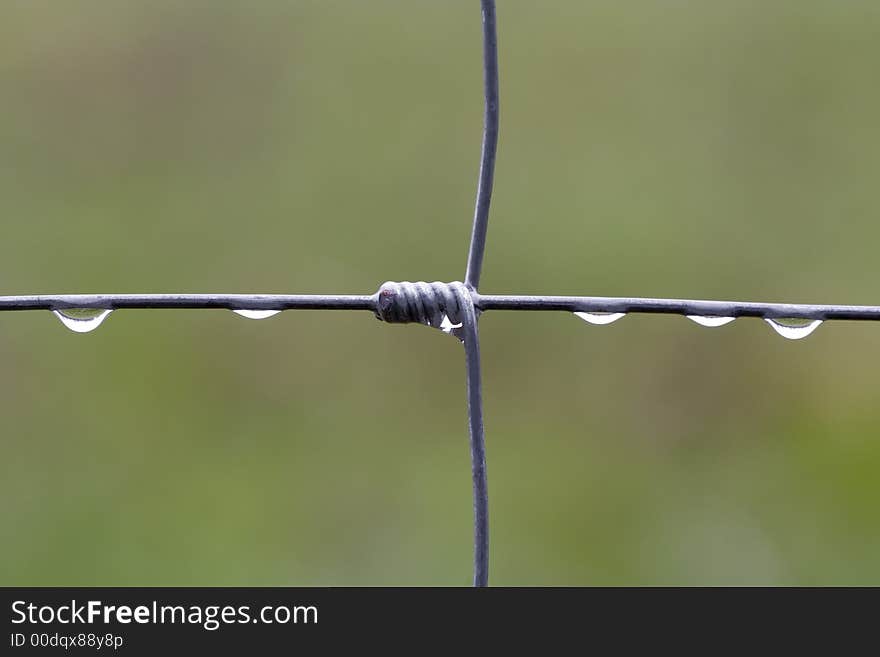 Five rain drops an a fence