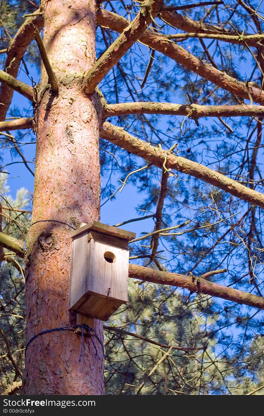 Bird house on tree trunk.