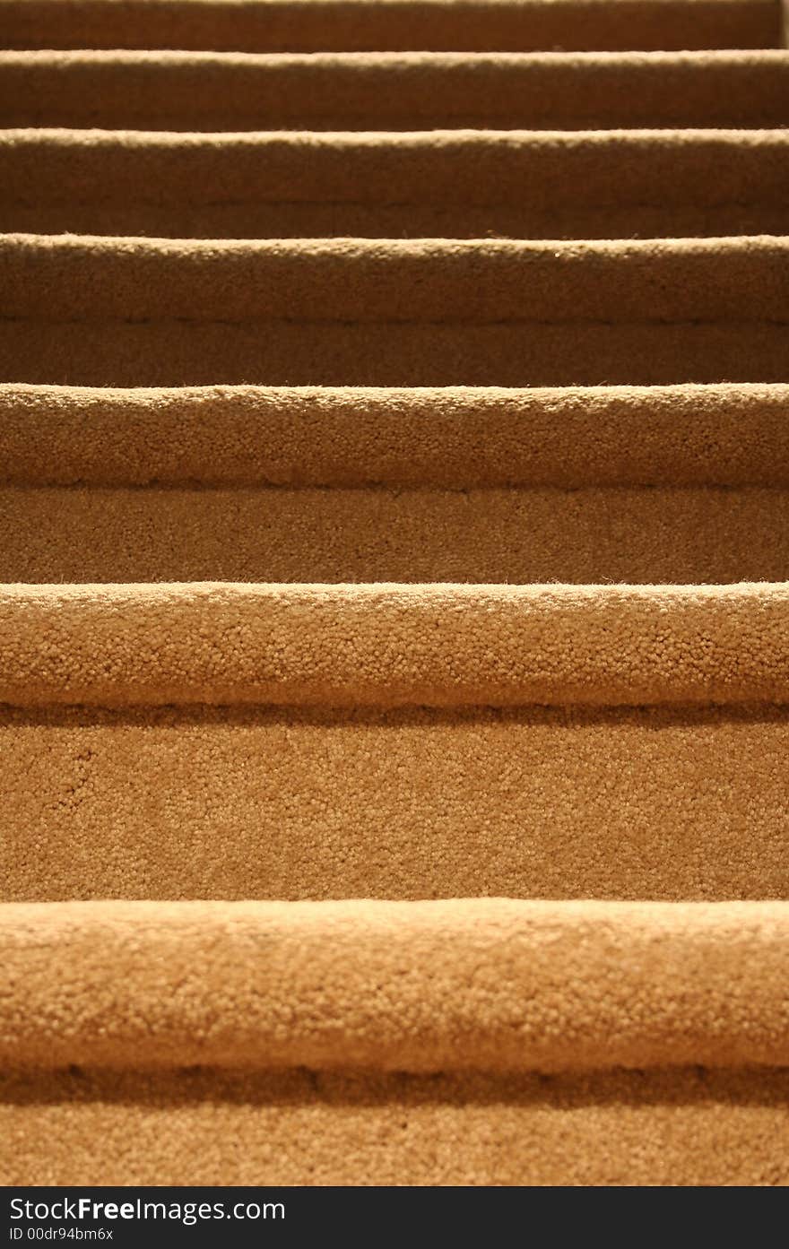 An image of a carpeted stairs