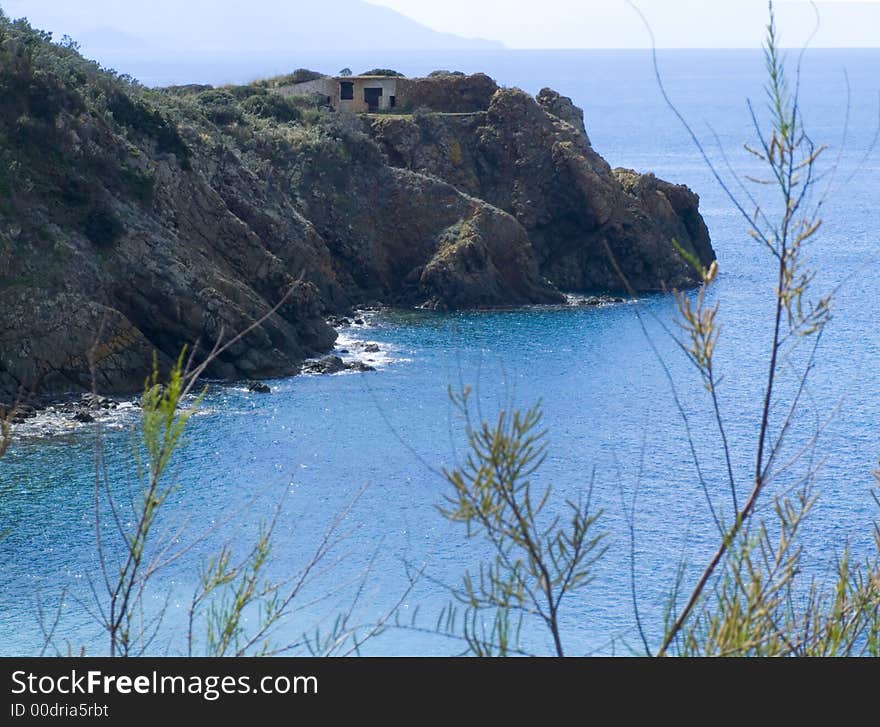 A coast sight with blue sea and herbs on the foreground