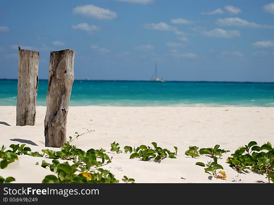 CARIBBEAN View