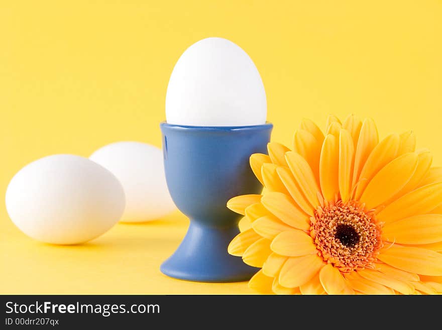 A gerbera daisy with 3 eggs with a yellow background