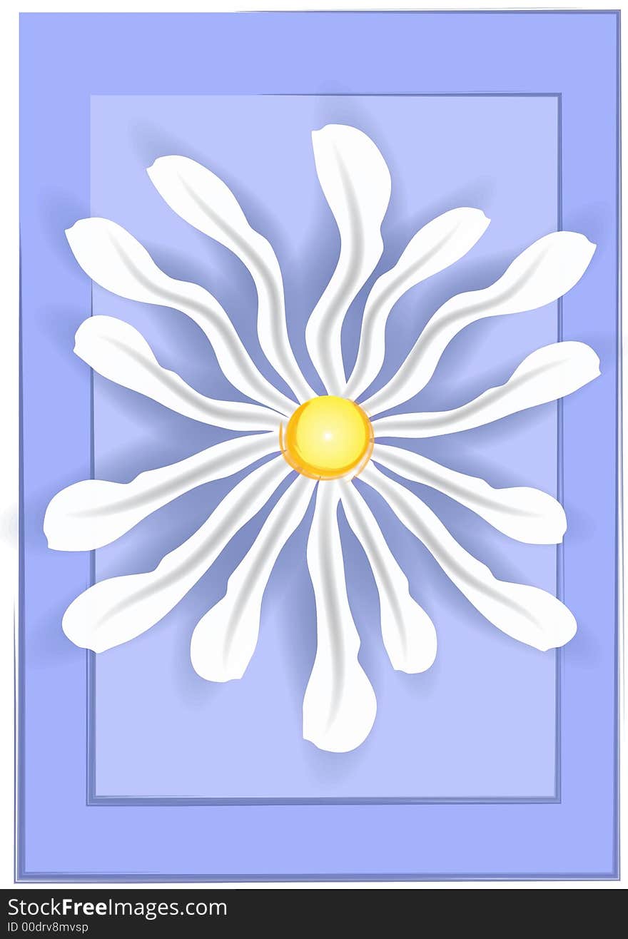 White Daisy on Blue Background