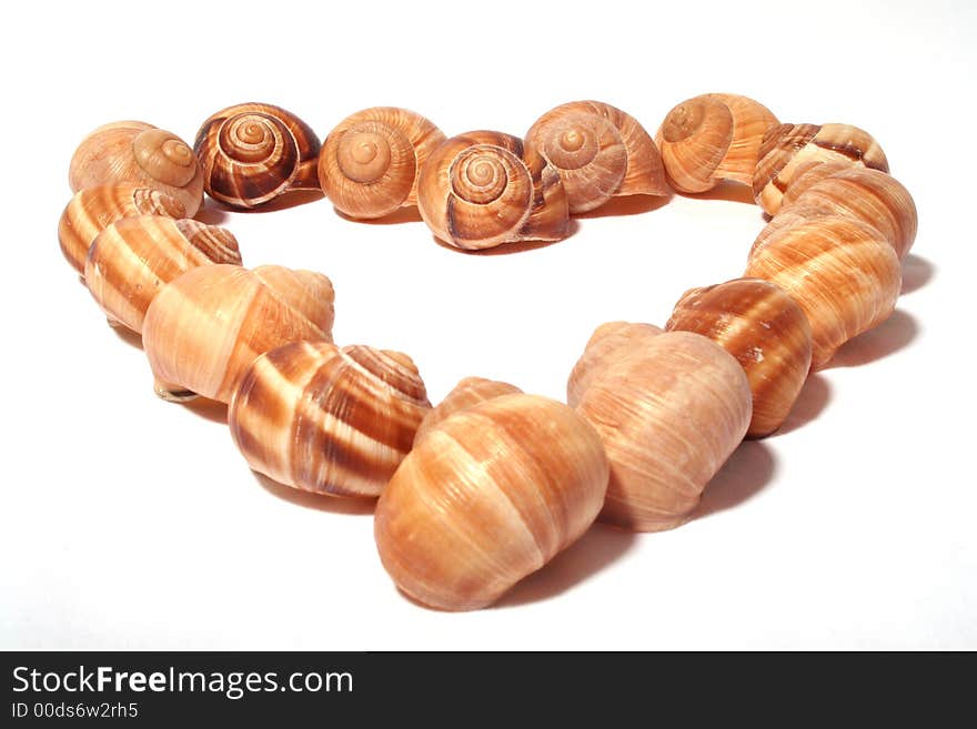 Heart shape with snail shells. Heart shape with snail shells