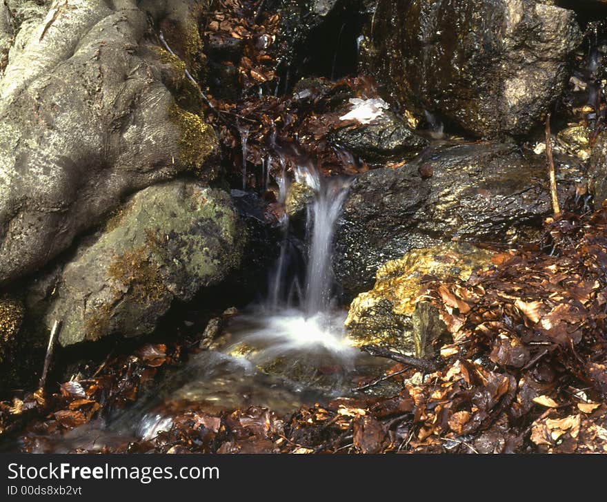 Autumnal landscape,tree with river. Autumnal landscape,tree with river