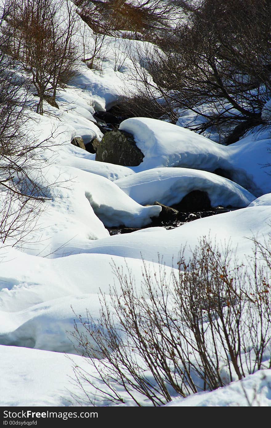 Winter landscape