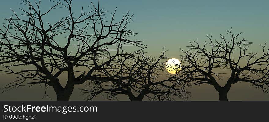 Naked tree silhouettes  at sunset - 3d scene. Naked tree silhouettes  at sunset - 3d scene.