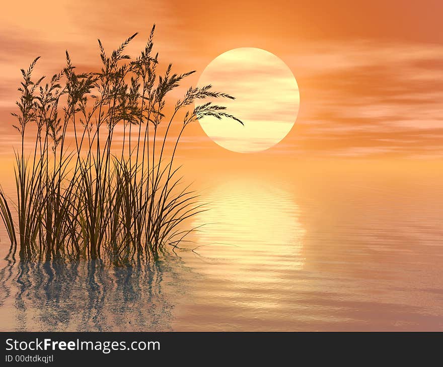 Water plants at yellow sunset - 3D scene. Water plants at yellow sunset - 3D scene.