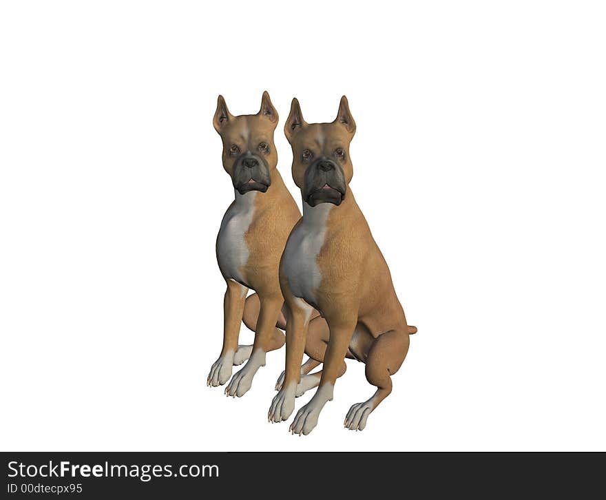 An pair of alert boxers watch intently. Computer Generated Image, 3D Models. An pair of alert boxers watch intently. Computer Generated Image, 3D Models