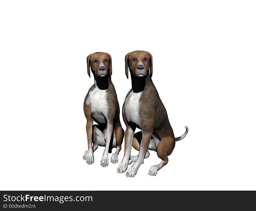 Pair of Black and Tan Hounds