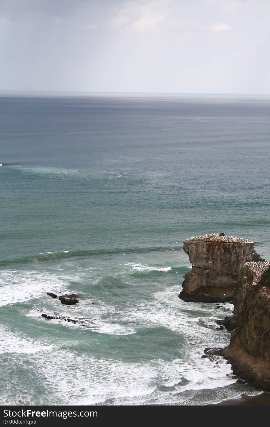 Maori Bay Gannet Colony, Muriwai, Auckland, New Zealand with rain on the horizon.