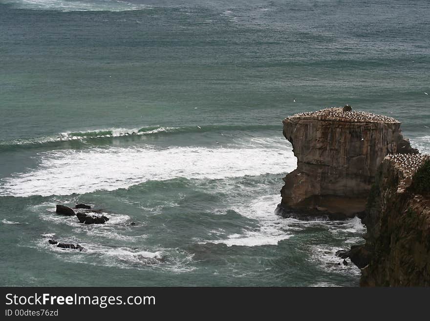 Maori Bay Gannet Colony, Muriwai, Auckland, New Zealand with rain on the horizon. Maori Bay Gannet Colony, Muriwai, Auckland, New Zealand with rain on the horizon.