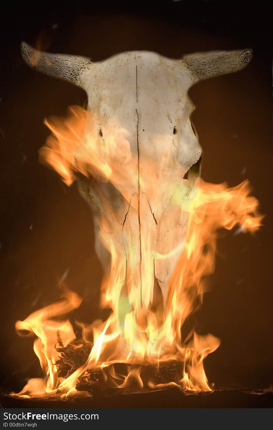 Cranium in flame on the dark background