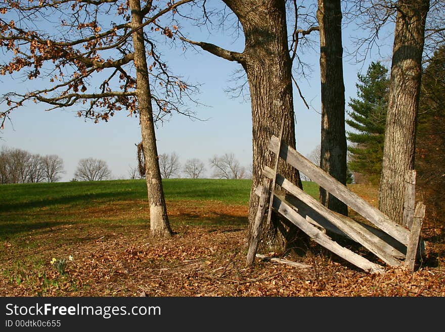 Rural scene