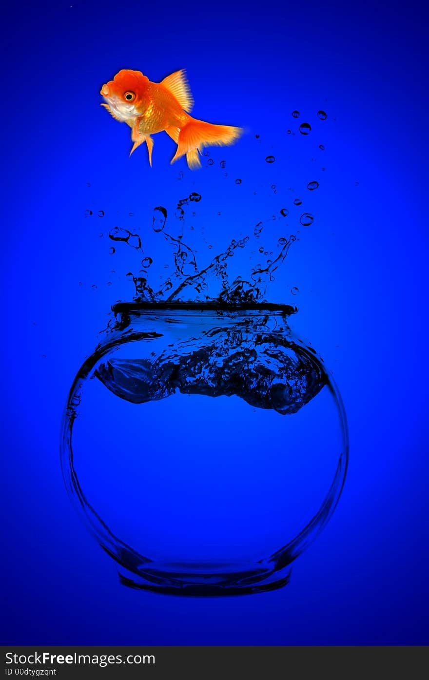 Jumping Goldfish on a Blue Background. Jumping Goldfish on a Blue Background