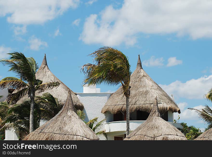 Beautiful Carribbean houses, palm trees. Beautiful Carribbean houses, palm trees