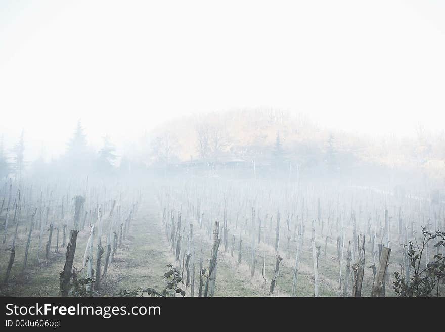 Italian country landscaper through the fog. Italian country landscaper through the fog