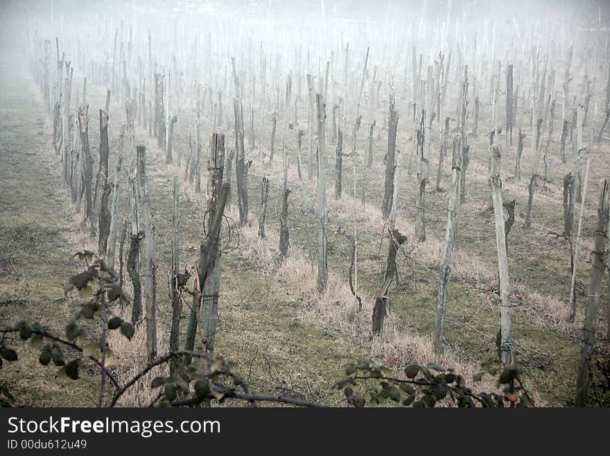 Italian country landscaper through the fog. Italian country landscaper through the fog