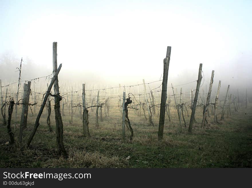 Italian country landscaper in a dense fog day. Italian country landscaper in a dense fog day