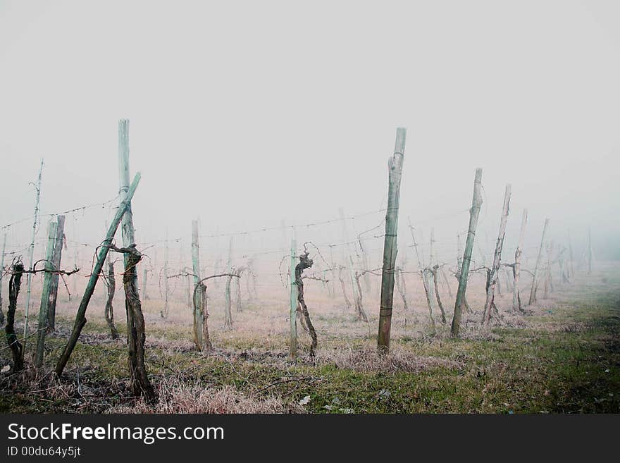 Italian country landscaper in a strang stormy-fog day. Italian country landscaper in a strang stormy-fog day