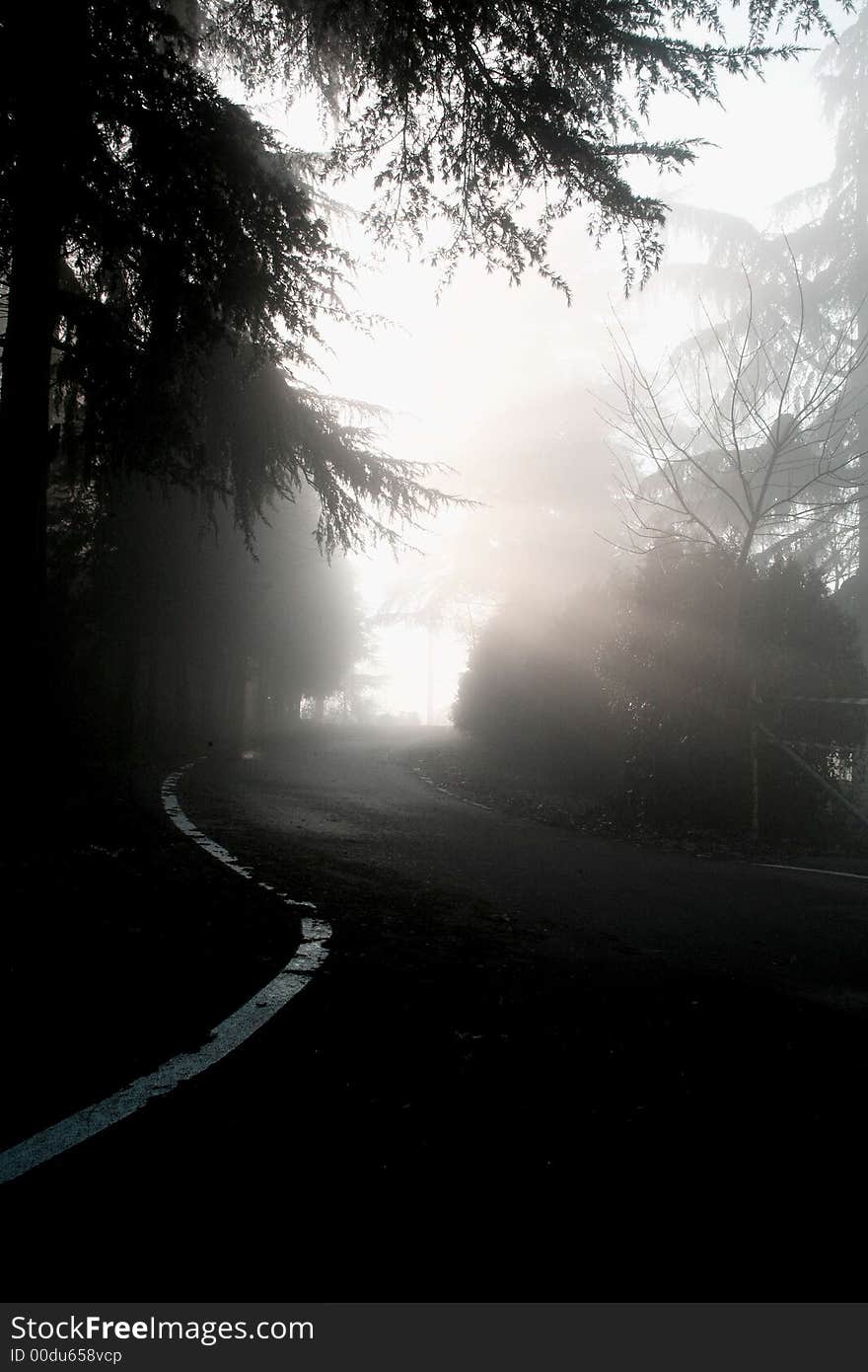 Empty street in a foggy morning. Empty street in a foggy morning