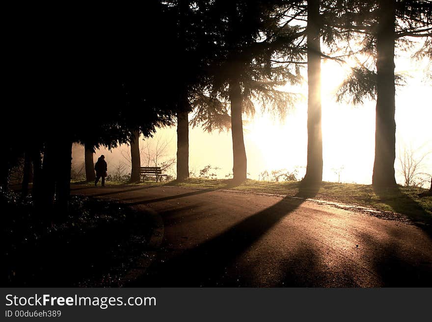 Italian country landscaper through the fog. Italian country landscaper through the fog