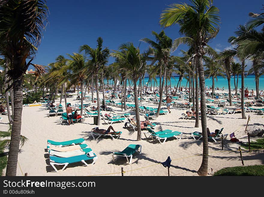 Sunbathers on beach near ocean