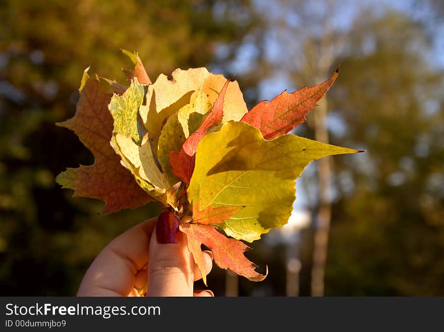 Sign Of Autumn